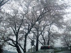 0901030004.JPG