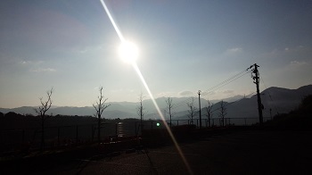 IMG_20160101_083347.jpg